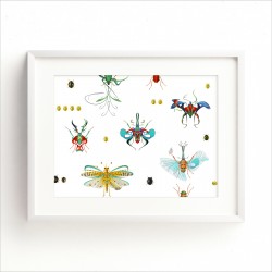 Atlas Of Insects